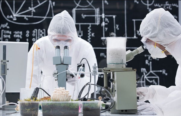 某化學工程項目定制款電蒸汽發生器使用案例！