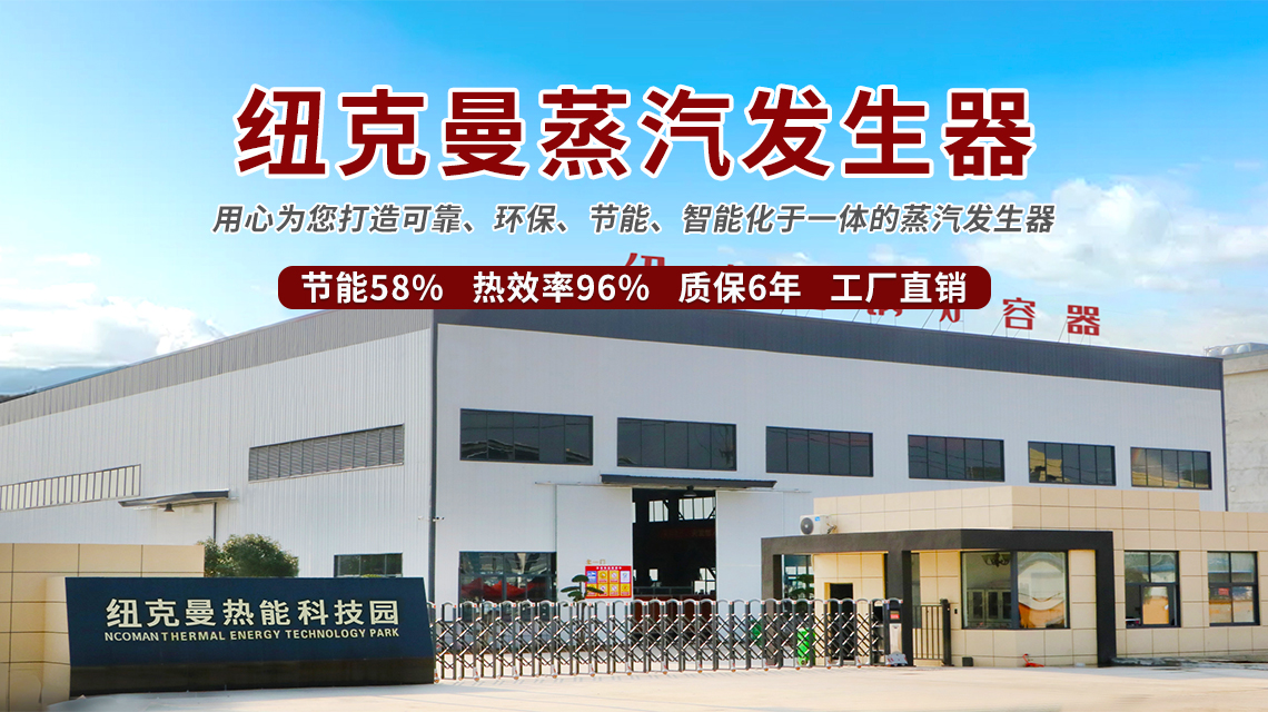 蒸汽發生器廠家